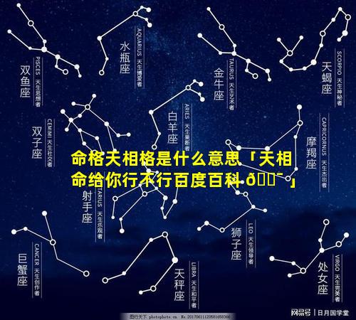 命格天相格是什么意思「天相命给你行不行百度百科 🐯 」